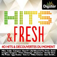 Digster hits & fresh : 40 hits & découvertes du moment / Lilly Wood and the Prick, Mika, Indila, [et als].... | Mika (1983-....)