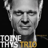 Grizzly / Toine Thys Trio, ens. instr. | Toine Thys Trio. Interprète