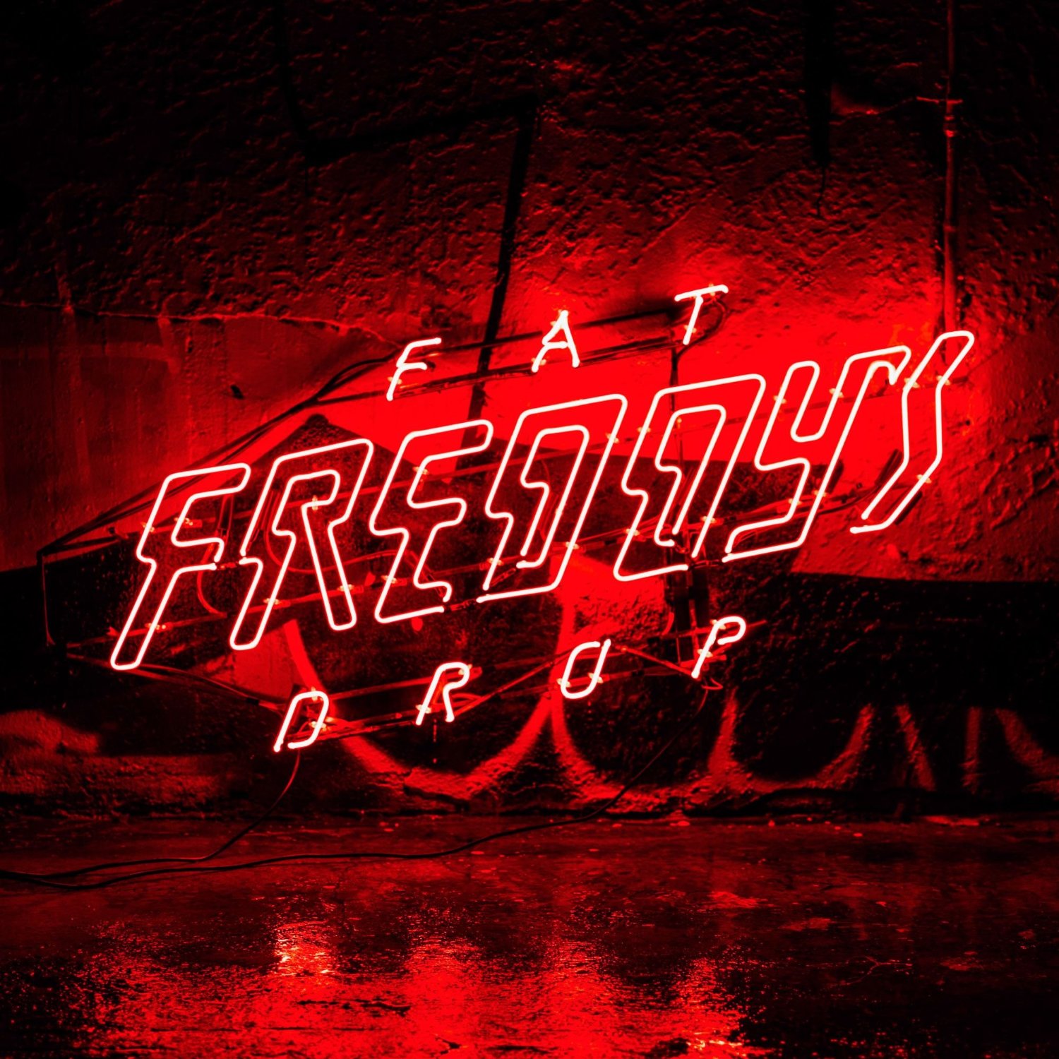 Bays / Fat Freddy's Drop, ens. voc. & instr. | Fat Freddy's Drop. Interprète