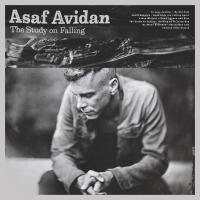 Study on falling (The) / Asaf Avidan, chant | Avidan, Asaf (1980-....). Chanteur. Chant