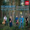 String quintet / Franz Schubert | Schubert, Franz (1797-1828). Compositeur. Comp.