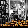 A memory of Vienna / Ran Blake, Piano | Blake, Ran. Interprète. P.