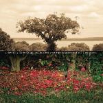 Be still / Dave Douglas Quintet | Douglas, Dave.