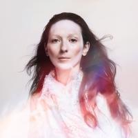 This is my hand | My Brightest Diamond. Musicien