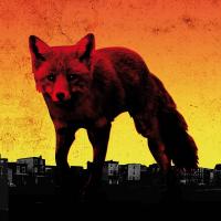 The Day is my enemy  | The Prodigy. Musicien