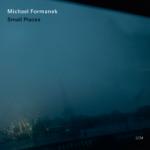 Small places / Michael Formanek, Contrebasse | Formanek, Michael. Interprète. Cb.