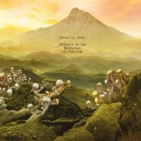 Journey to the mountain of forever | Binker And Moses. Musicien