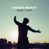 Black velvet | Bradley, Charles (1948-2017). Chanteur