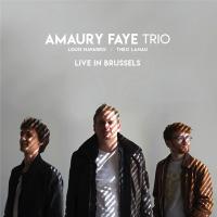 Live in Brussels / Amaury Faye Trio | Faye, Amaury