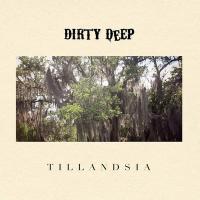 Tillandsia / Dirty Deep, ens. voc. & instr. | Dirty Deep. Musicien. Ens. voc. & instr.