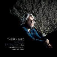 Improse extended trio | Thierry Eliez (1964-....). Musicien