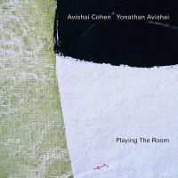Playing the room / Avishai Cohen, trp. | Cohen, Avishai (1978-....). Musicien. Trp.