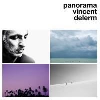 Panorama / Vincent Delerm, comp. & chant | Delerm, Vincent (1976-....). Compositeur. Comp. & chant