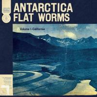 Antarctica / Flat Worms, ens. voc. & instr. | Flat Worms. Interprète