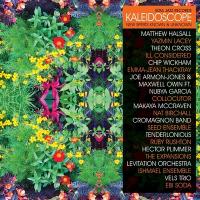 Kaleidoscope : new spirits known & unknown / Matthew Halsall and the Gondwana Orchestra, ens. instr. | Tenderlonious. Musicien. Saxo. & fl.