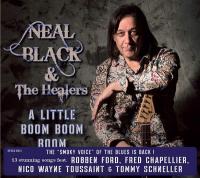 A little boom boom boom / Neal Black & the Healers | Neal Black & the Healers