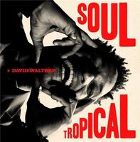 Soul tropical / David Walters, chant | Walters, David. Interprète