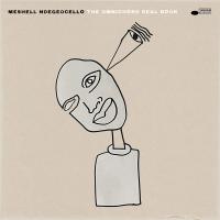 The omnichord real book | Meshell Ndegeocello. Chanteur