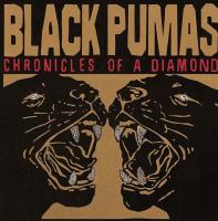 Chronicles of a diamond | Black Pumas. Musicien