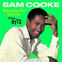 Wonderful world : the hits | Sam Cooke (1931-1964). Chanteur