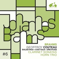 Clarinet sonatas / Johannes Brahms | Brahms, Johannes (1833-1897). Compositeur